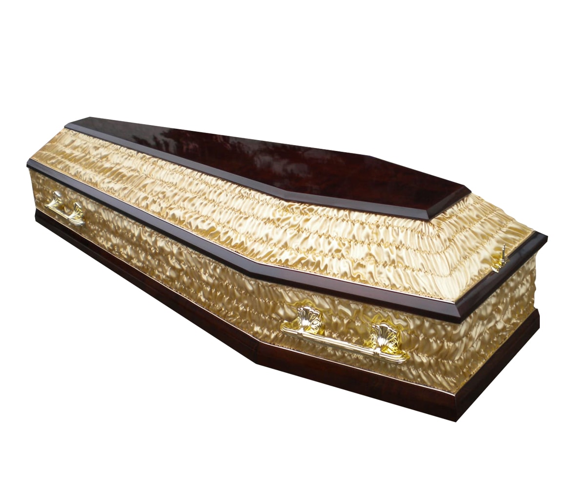 Coffin model 14