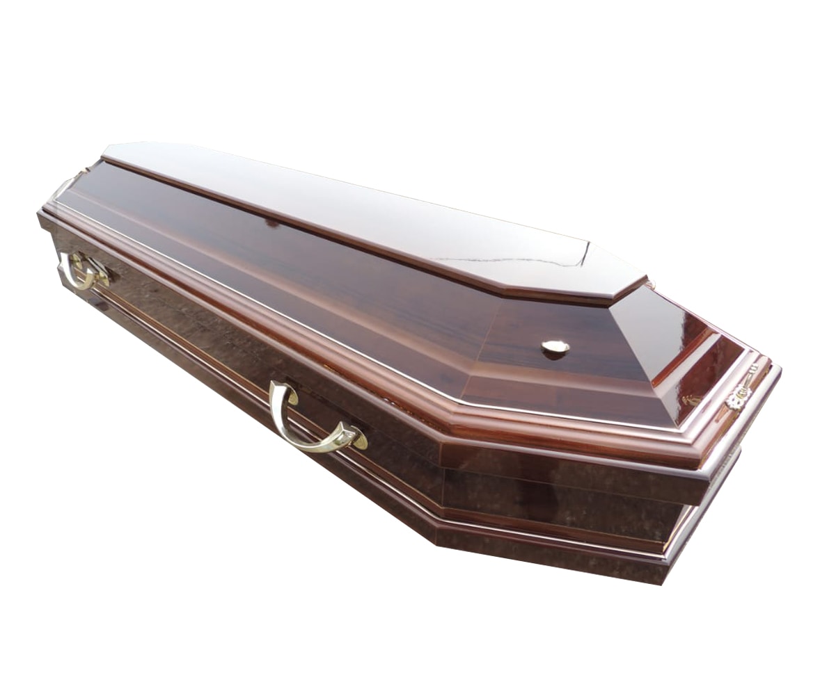 Coffin model 20